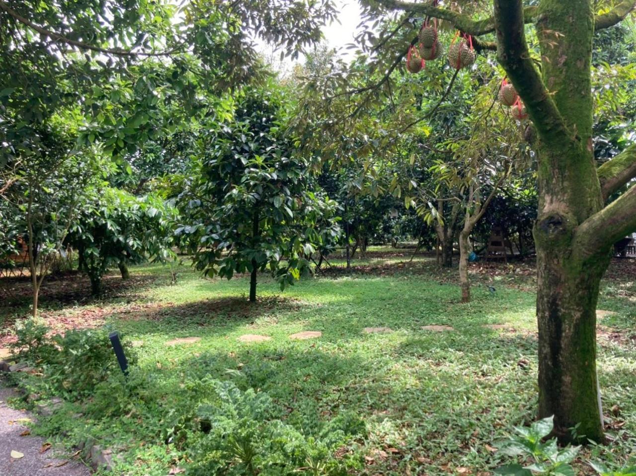 Homestay Vuon Trai Cay Nhiet Doi Vo Uu Garden Bao Loc Exterior photo