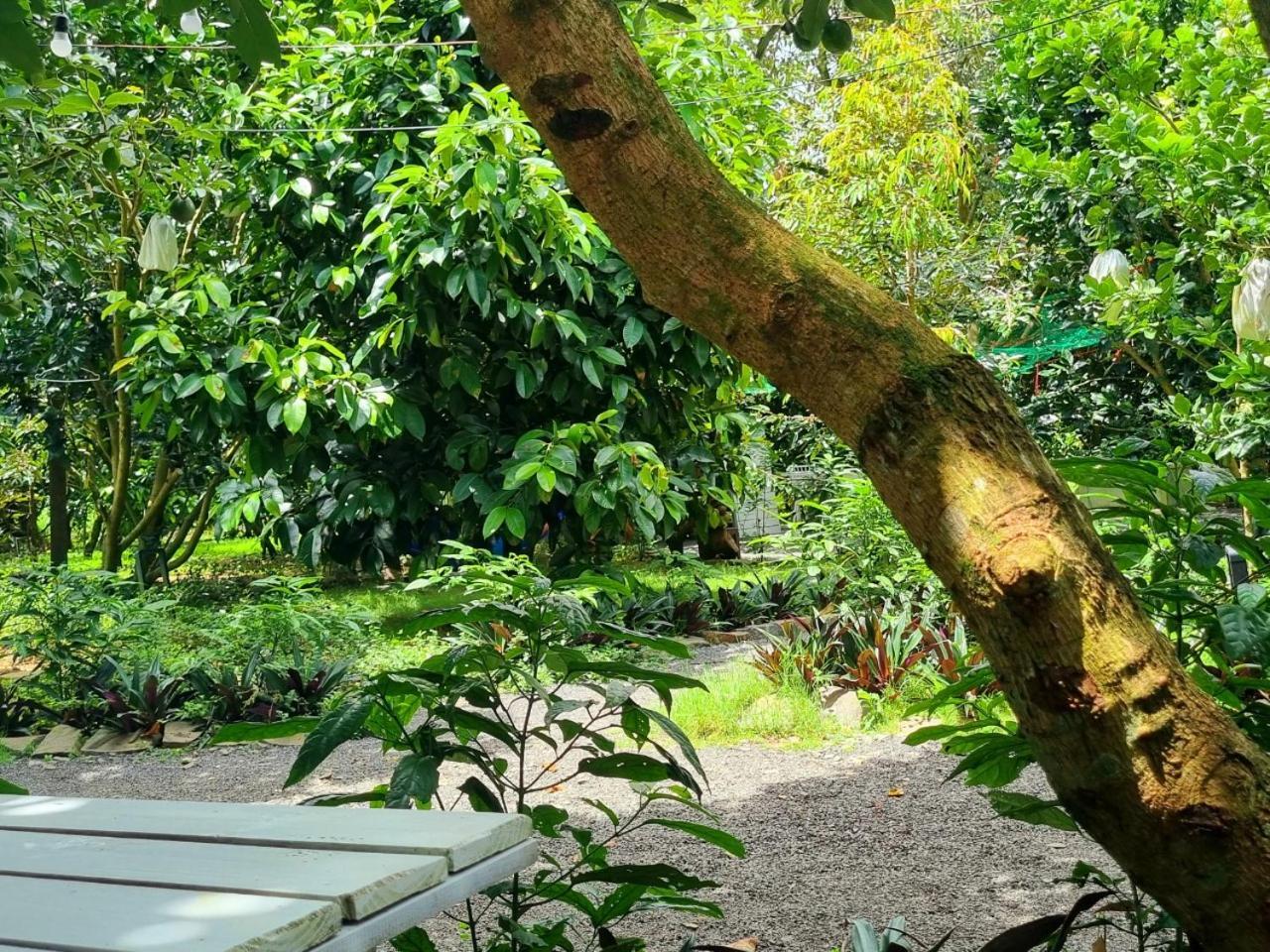 Homestay Vuon Trai Cay Nhiet Doi Vo Uu Garden Bao Loc Exterior photo