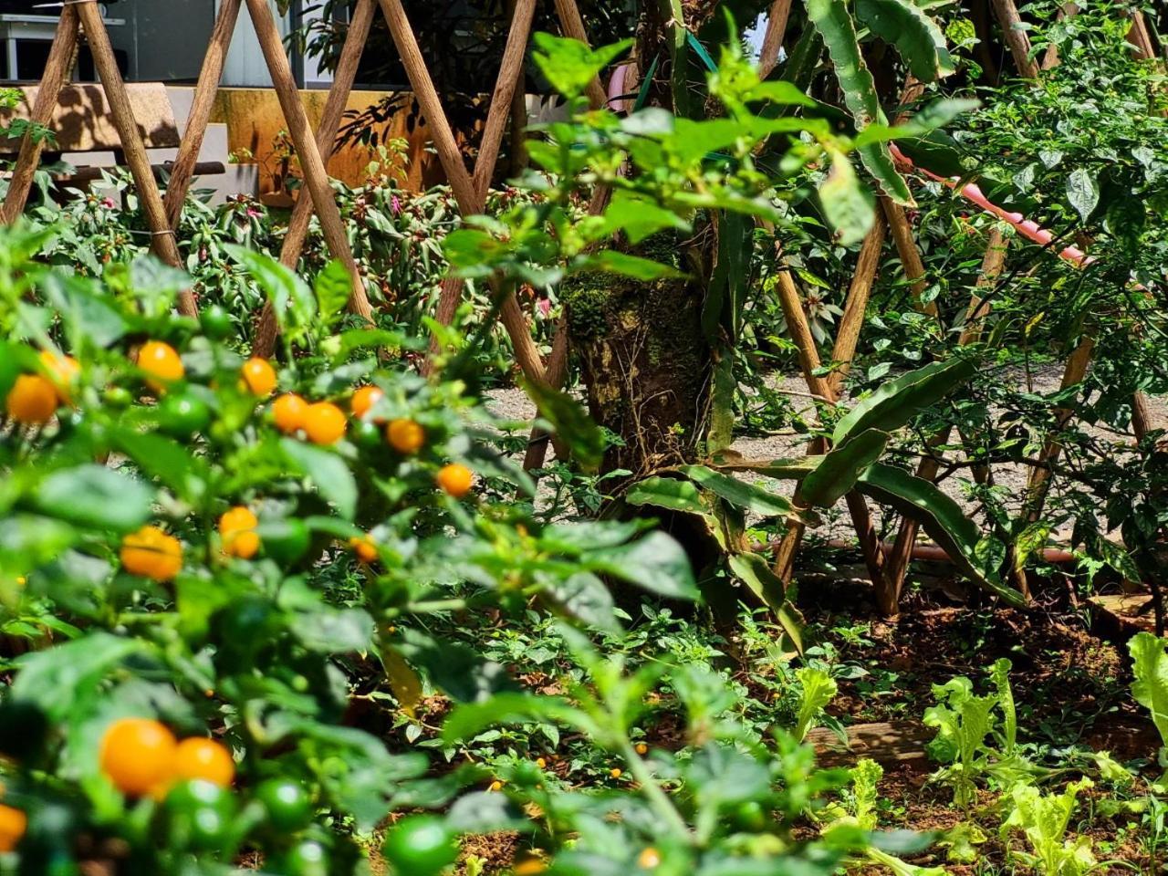 Homestay Vuon Trai Cay Nhiet Doi Vo Uu Garden Bao Loc Exterior photo